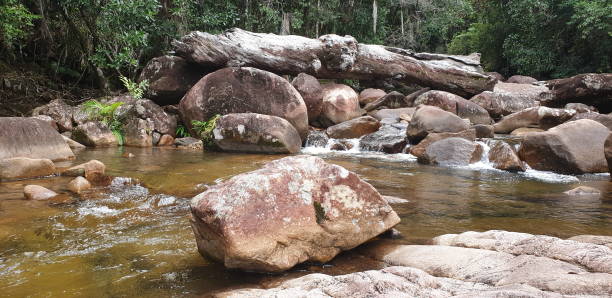 istock Cameron's Pass Finch Hatton Gorge 1249284506