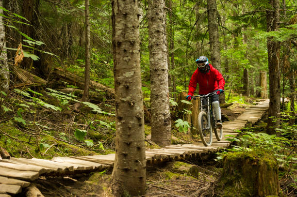 istock Man downhill mountain biking on summer vacation 1249287281