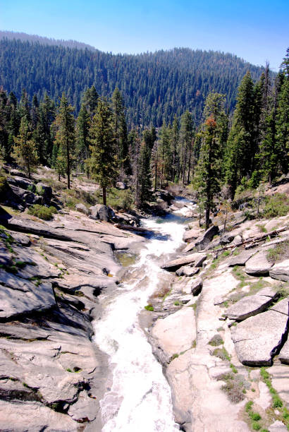 istock Creek in the Sierra Nevada Mountains 1249294973