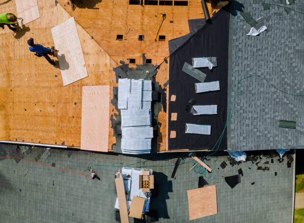 istock A roofer nailing shingles with air gun, replacing roof cover protection being applied 1249296830