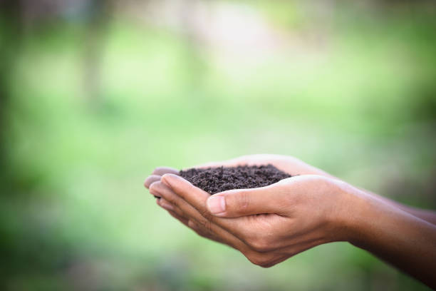 Soil in farmers hand green background.