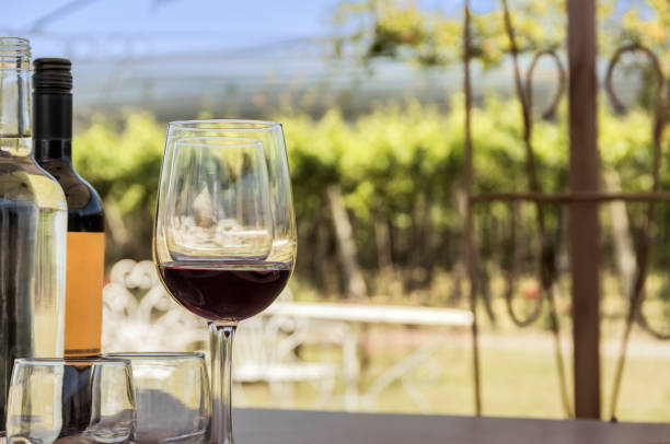 enoturismo, viñedos, paisajes y copas al aire libre. - fotos de viñedos chilenos fotografías e imágenes de stock