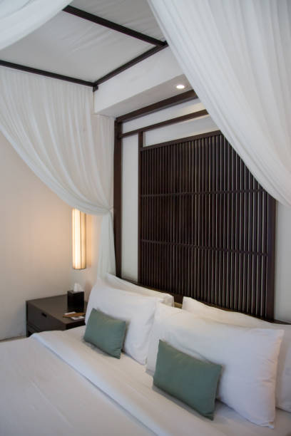 istock Simple contemporary bedroom with king size bed and mosquito net 1249311104