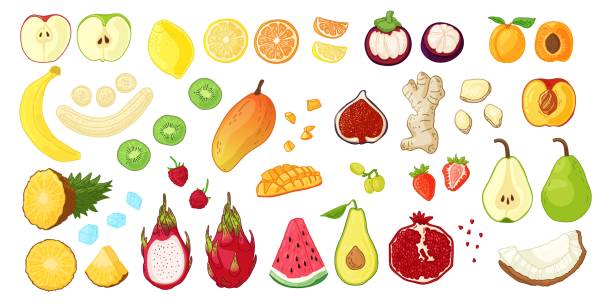 ilustrações, clipart, desenhos animados e ícones de grande conjunto com frutas tropicais, frutos e raízes. alimentos frescos crus naturais para nutrição vegetariana. ilustração para smoothie fresco ou folheto diet. vetor - vector berry root leaf