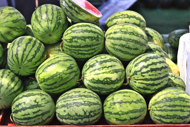 istock There are many red watermelon On the top there 1249319722