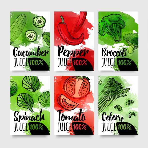 illustrazioni stock, clip art, cartoni animati e icone di tendenza di scheda di design del modello di gusti di variazione del succo. stendardo di layout di verdure ed erbe con decorazione ad acquerello. brochure per bevande naturali biologiche. volantini di cibo fresco per menu vegetariano. vettore - juice celery drink vegetable