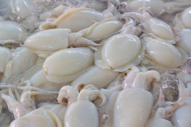 Fresh squid in the market sells seafood. At Ang Sila Town Chonburi Thailand