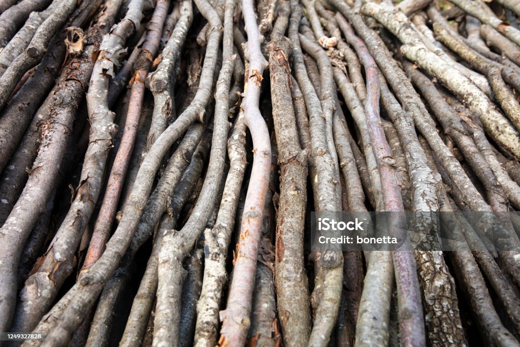 Close up dry brushwood Abstract Stock Photo