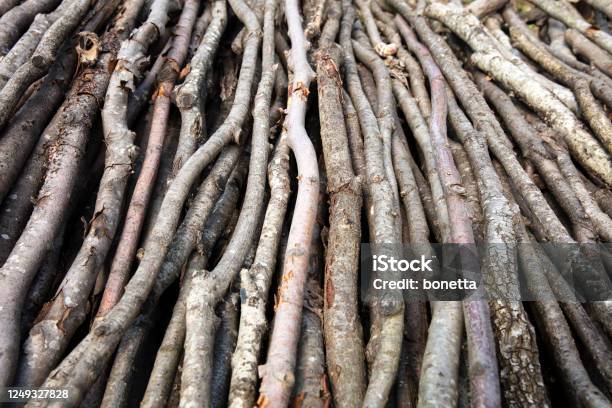 Close Up Dry Brushwood Stock Photo - Download Image Now - Abstract, Backgrounds, Branch - Plant Part