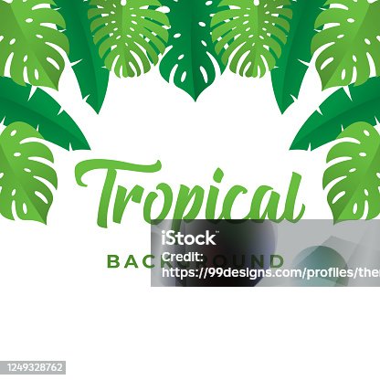 istock Tropical Vector Background Design Illustration. Tropical leaves Vector flat design illustration. Abstract Tropical Summer background design template for banner, pattern, invitation, poster, brochure. 1249328762