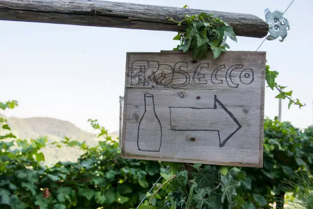 "Prosecco" sign, directing to a prosecco winery, Veneto region, Italy
