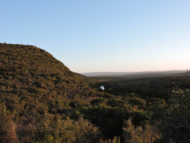 Overlooking a river in the African bush