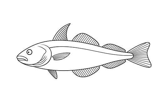 Haddock Coloring Haddock Outline Isolated Haddock On White Background Stock Illustration ...