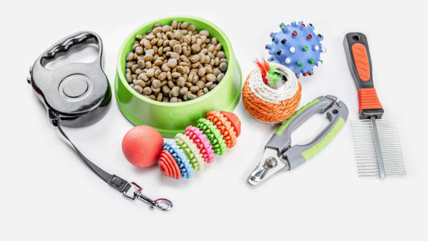 istock Dry food with pets accessories on isolated white 1249334064