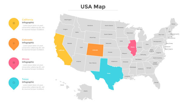 Modern Infographic Template USA map with colored states. Country statistics visualization. Modern infographic design template. Vector illustration for statistical review or report, brochure, presentation, website, banner. cartography stock illustrations