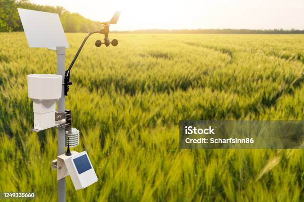 Wetterstation In Einem Weizenfeld Stockfoto und mehr Bilder von Landwirtschaft 4.0 - Landwirtschaft 4.0, Internet der Dinge, Landwirtschaft