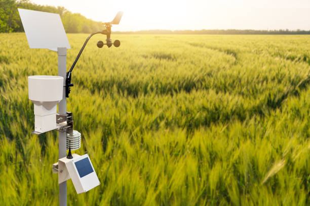 weather station in a wheat field - anemometer meteorology measuring wind imagens e fotografias de stock