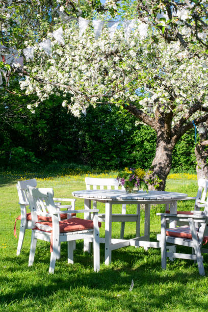 istock Time for a break in the garden on a summer day 1249336642