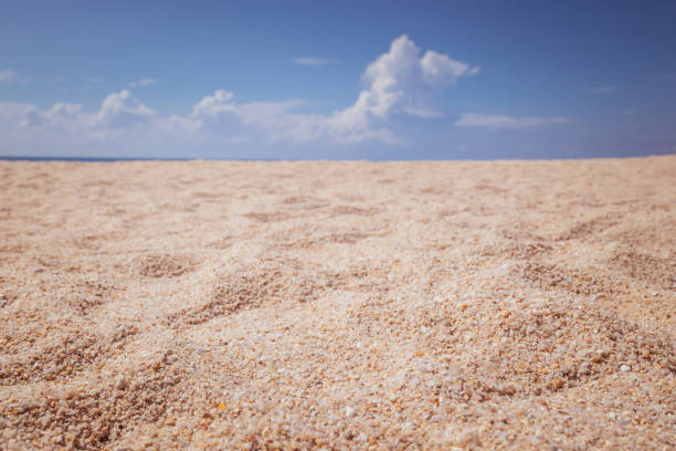 istock View of empty tropical sand beach 1249346839