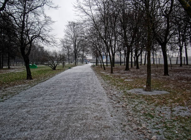istock footprints in the newly fallen snow 1249346958