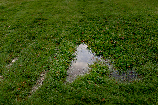 A grass yard flooded with puddles from a rainstorm