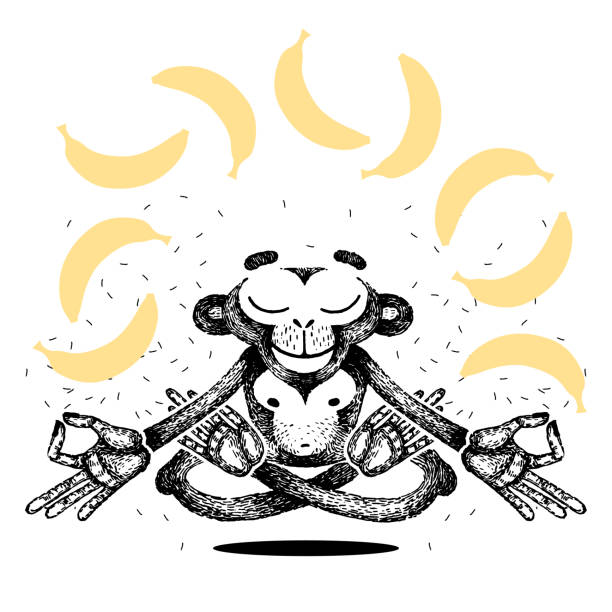 Monkey is meditating and levitating. Monkey sits in a lotus position and dreams of bananas. Vector hand made illustration. for poster, print, t-shirt. Monkey is meditating and levitating. Monkey sits in a lotus position and dreams of bananas. cold monkey clasped hands in mudra. Vector hand made illustration. for poster, print, t-shirt. levitation stock illustrations