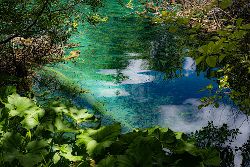 National park Plitvice, Croatia, Europe, great travel destination. Old forest and beautiful lakes