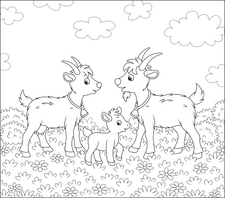 Funny goat family grazing on fresh grass of a pretty summer meadow with wildflowers on a wonderful warm day, black and white outline vector cartoon illustration for a coloring book page