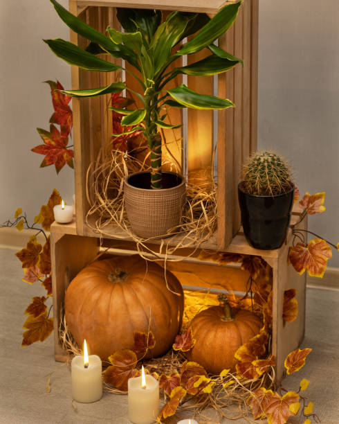 istock Halloween Pumpkins with candles straw 1249355736