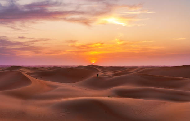 empty quarter desert dunes in liwa, abu dhabi, vereinigte arabische emirate - liwa desert stock-fotos und bilder