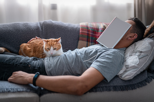 Family scene with domestic cats. lifestyle young people.  animal and people. A young man with cats reads, play and sleep