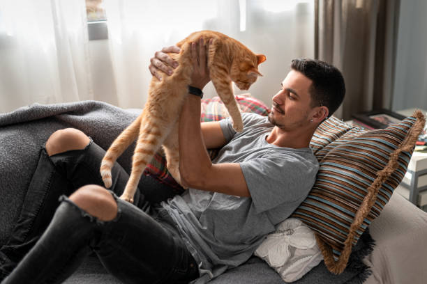 istock young man interacts with his cats on the sofa 1249358822
