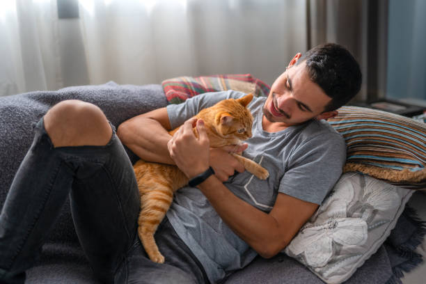 istock young man interacts with his cats on the sofa 1249358825