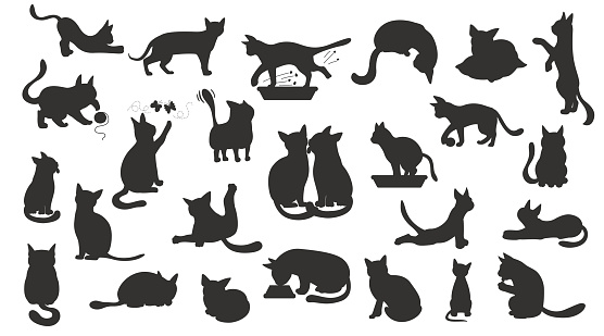 Cartoon silhouettes cat character collection. Different cat`s poses, yoga and emotions set. Black style design. Vector illustration