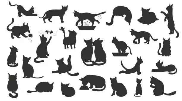 Vector illustration of Cartoon silhouettes cat character collection. Different cat`s poses, yoga and emotions set. Black style design