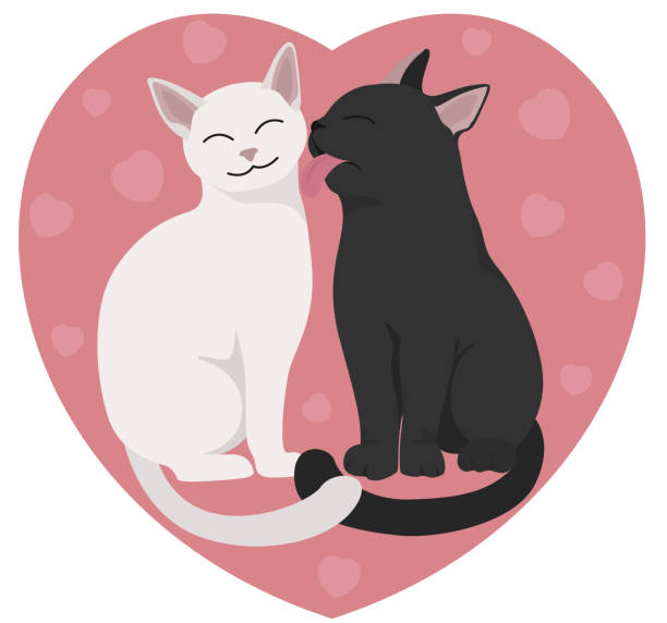 illustrations, cliparts, dessins animés et icônes de chats noirs et blancs, coeur rose. conception de jour de valentine - comic book animal pets kitten