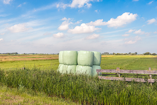 Stacked bales of dried grass wrapped in light green plastic wrap. The photo was taken on a sunny day in a Dutch polder near the village of Hooge Zwaluwe, municipality of Drimmelen, North Brabant.