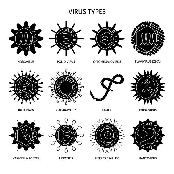 illustrazioni stock, clip art, cartoni animati e icone di tendenza di icona dei tipi di virus umani impostata in stile piatto - citomegalovirus