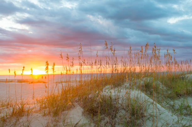istock Sunrise-Hilton Head Island-South Carolina 1249363170