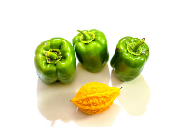 yellow bitter gourd between green capsicum with isolated background, odd one out