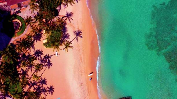 istock view of a beach with palms and two surfers 1249363484