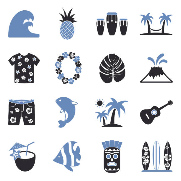 hawaii-ikonen. zwei-ton-flach-design. vektor-illustration. - hawaii islands luau hula dancing hawaiian culture stock-grafiken, -clipart, -cartoons und -symbole