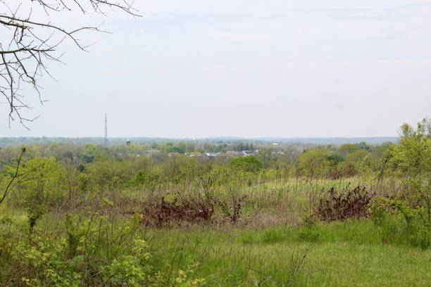 istock Country Landscape Horizon 1249369659