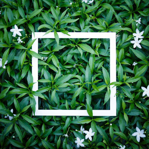 istock Creative layout made of flowers and leaves with paper card note. Flat lay. Nature concept 1249371017