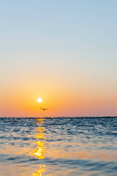 Beautiful sunset by the sea