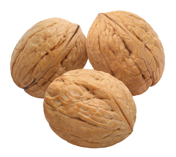 istock Close-up of delicious walnuts on white 1249373678