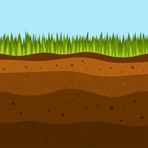 Vector illustration of grass with underground layers of earth, vector illustration