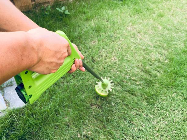 istock Close up man hand using lawn trimmer mower cutting grass on green floor. Selective focus at hand, copy space 1249375675