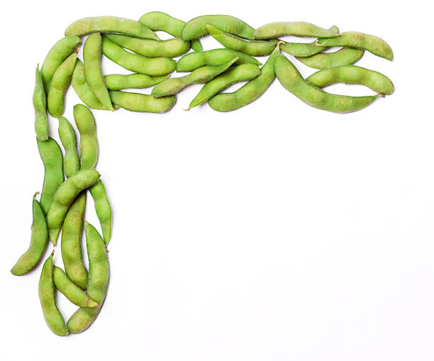 Frame of Steamed Edamame
