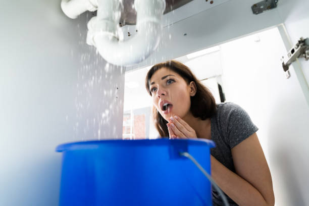 istock Woman With Emergency Plumbing Sink Leak 1249377282
